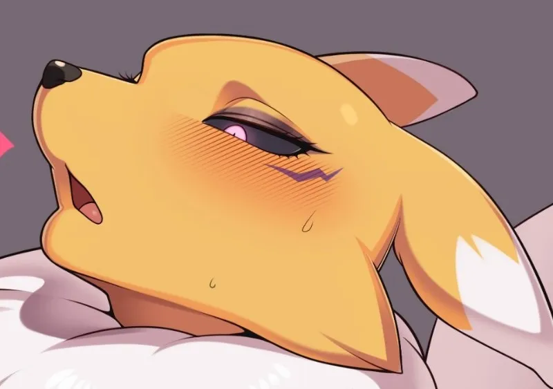 Renamon avatar