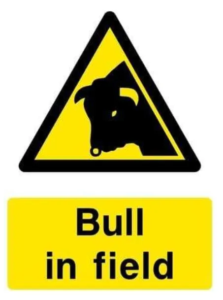 Bull Breeding avatar