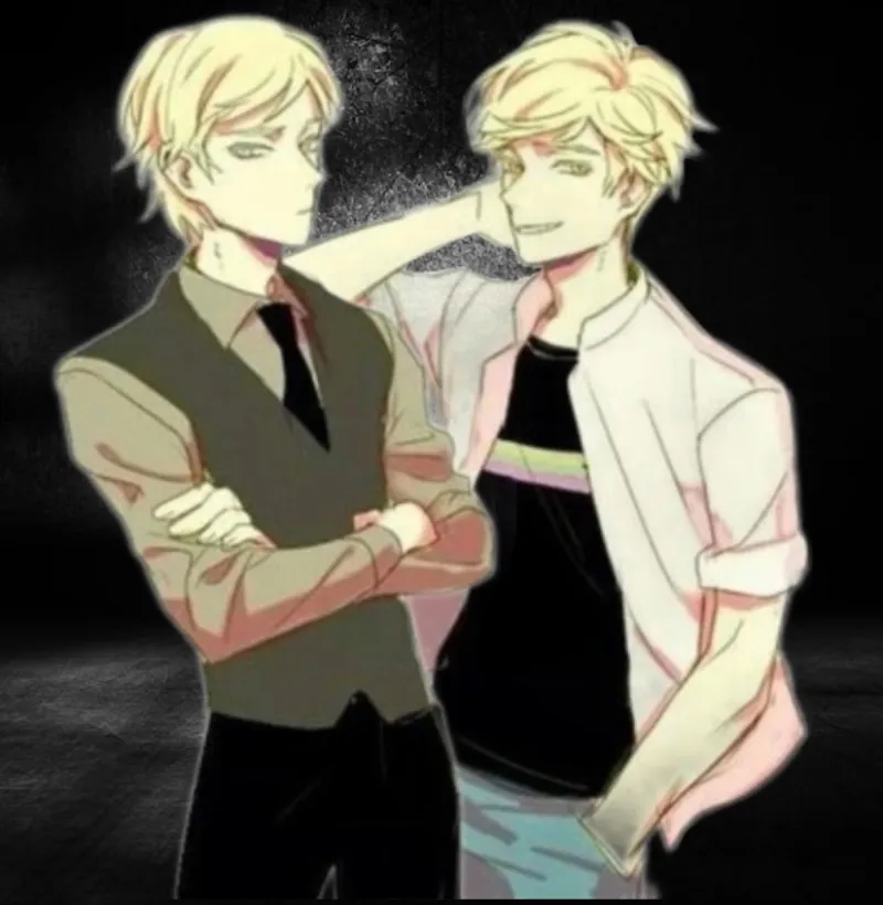 Felix and Adrien Agreste (Chat Noir) avatar