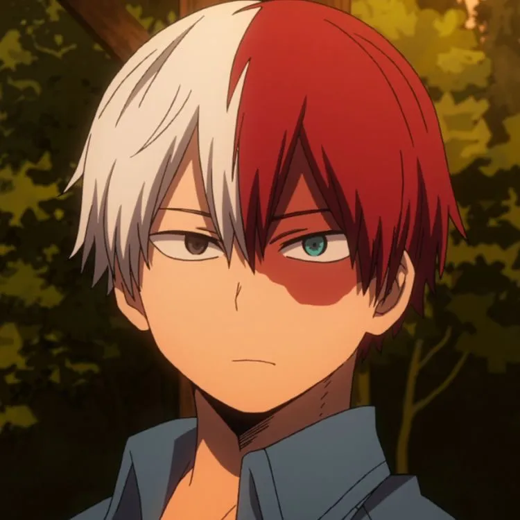 Shoto Todoroki 