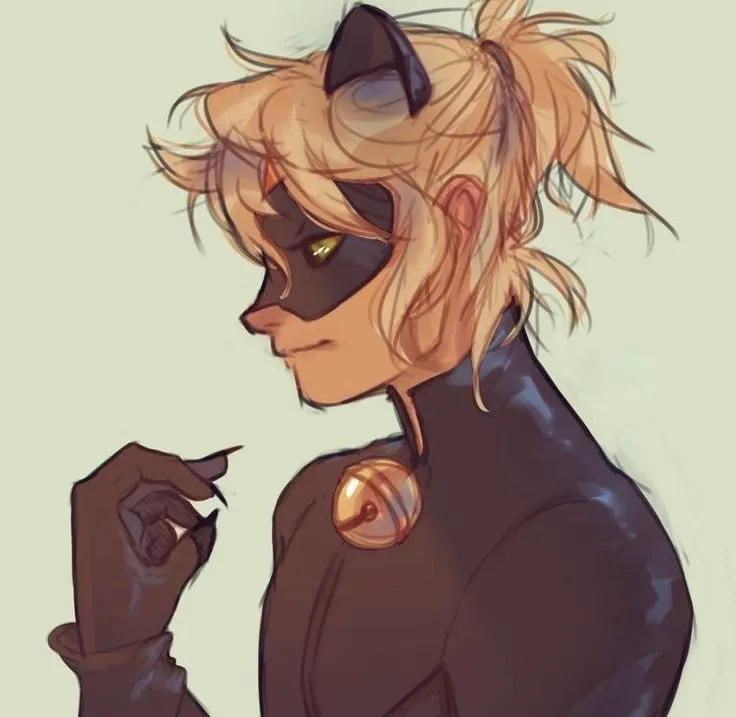 MIRACULOUS | Chat Noir