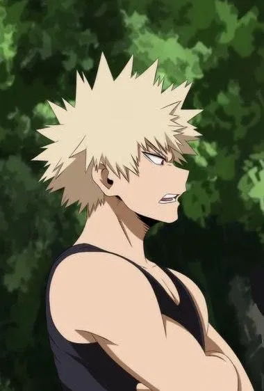 Katsuki Bakugo  avatar