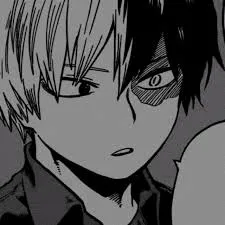 Todoroki shoto avatar