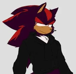 Roomate Shadow the Hedgehog