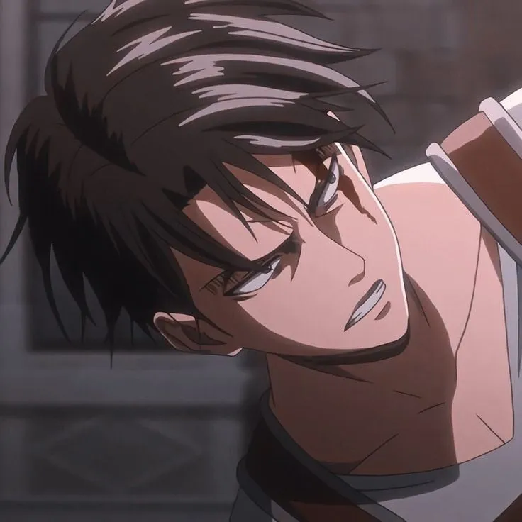 Levi Ackerman avatar