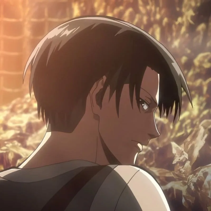 Levi Ackerman avatar