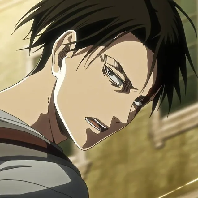 Levi Ackerman avatar