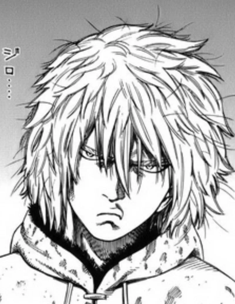 Thorfinn | Lovers edition avatar