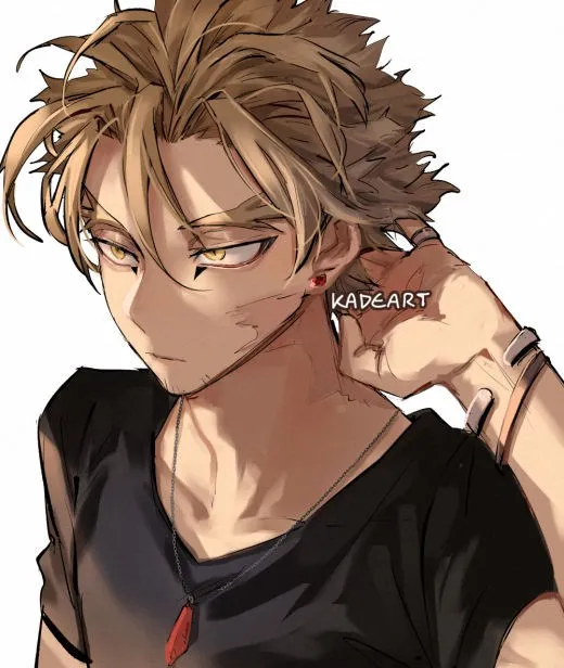 Hawks (Keigo takami) avatar