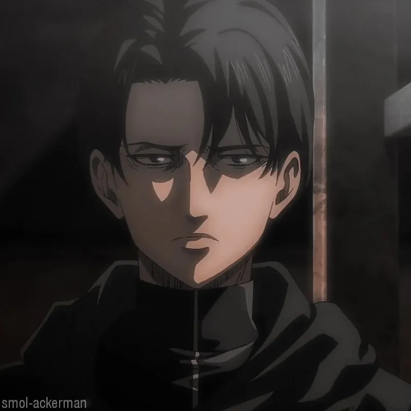 Levi Ackerman avatar