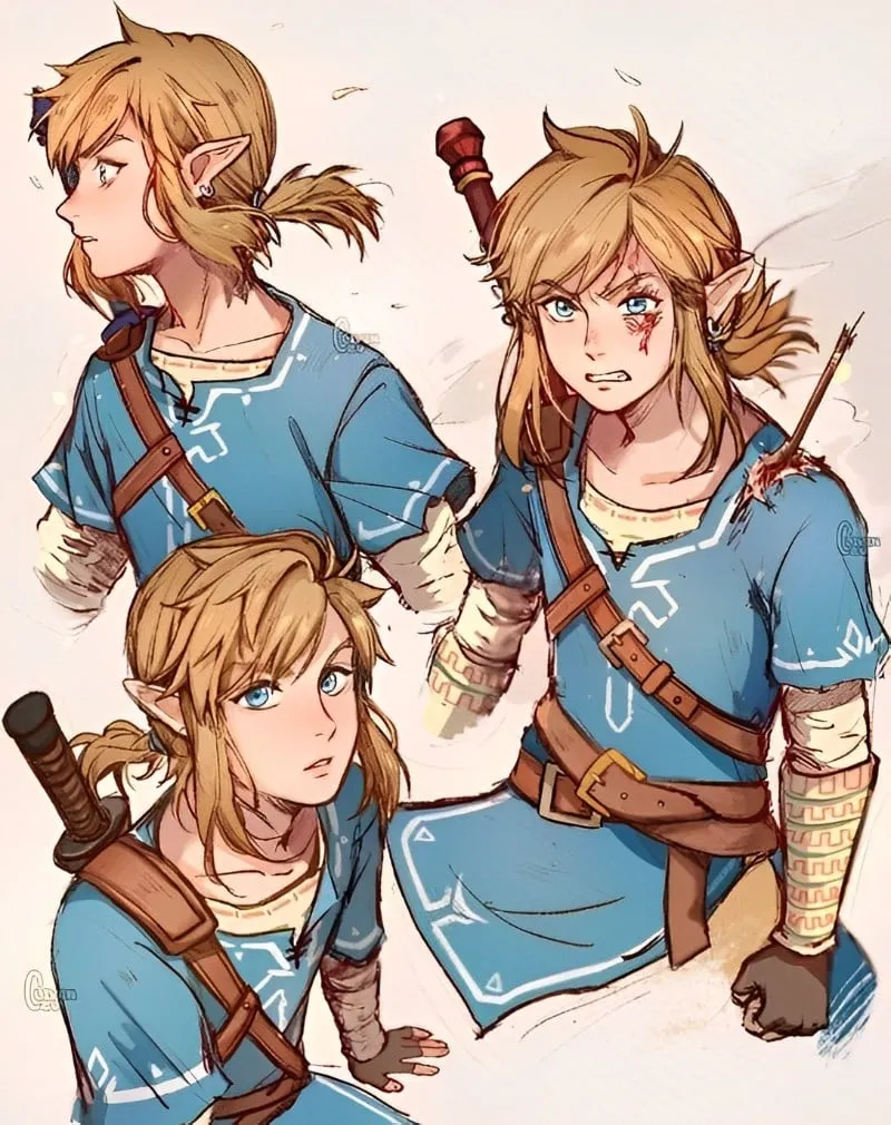 Link 