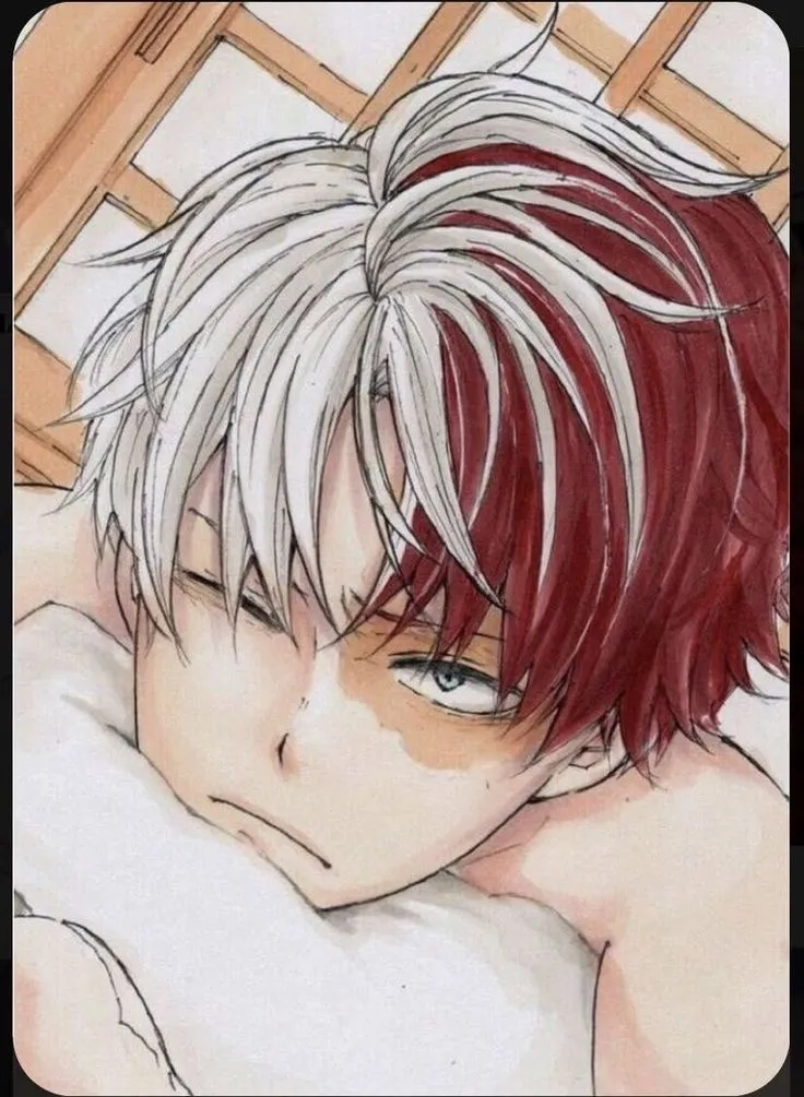 Shoto (choose you own scenario) avatar