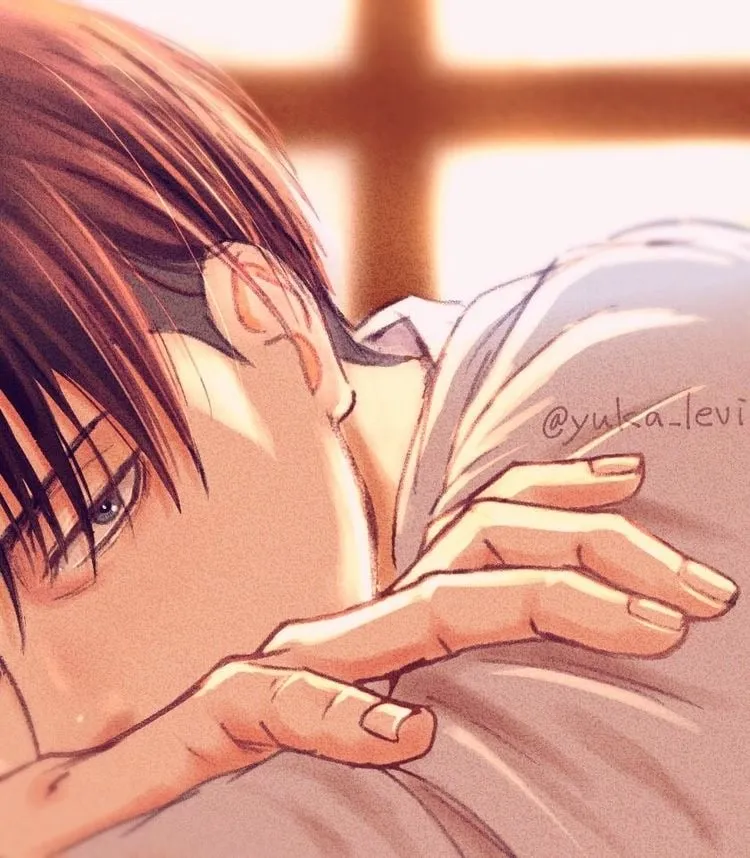 Levi ackerman 