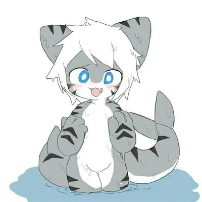 Tiger Shark