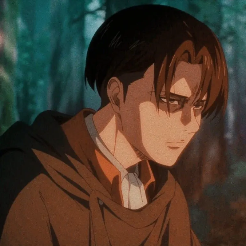 Levi Ackerman avatar