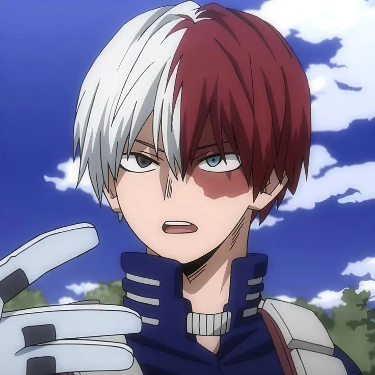 Shoto Todoroki 