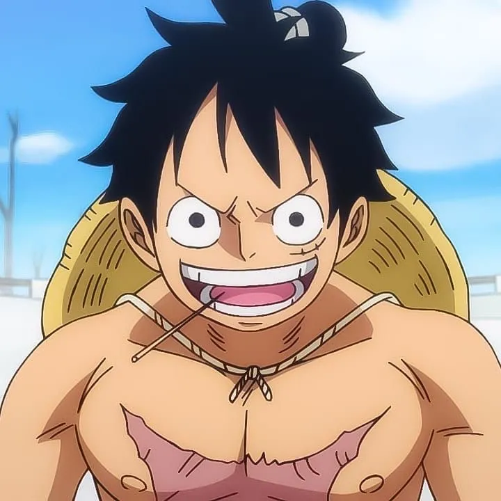 001 • Monkey D. Luffy