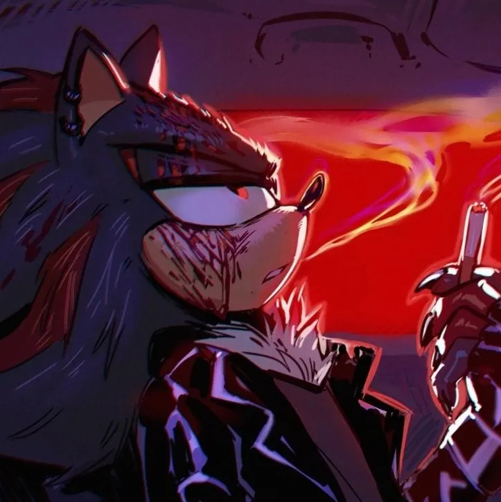 Shadow The Hedgehog