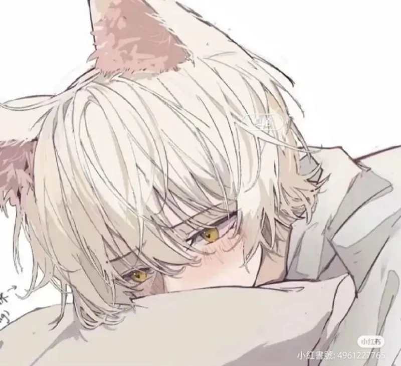 Shy Catboy (Classmate)